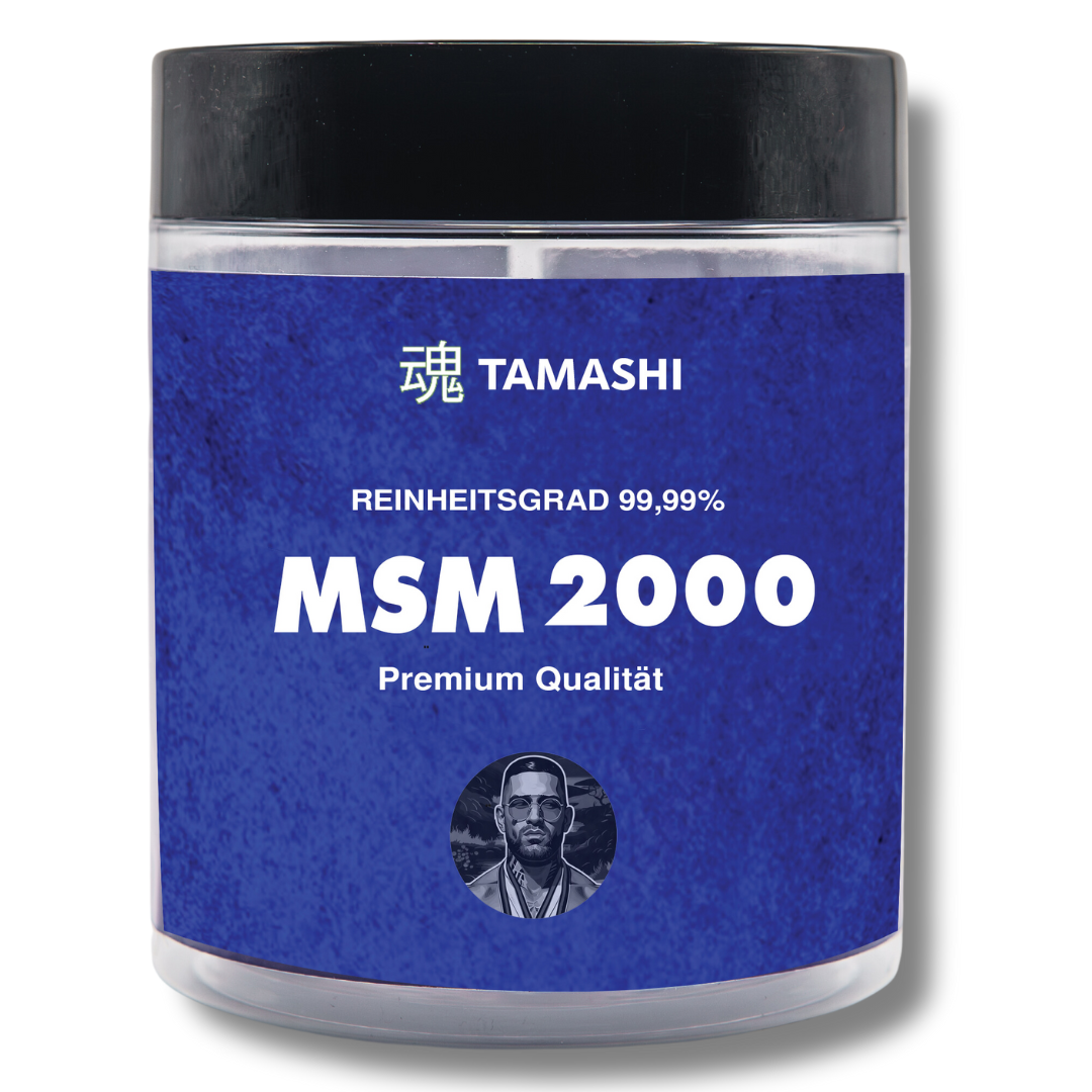 MSM 2000