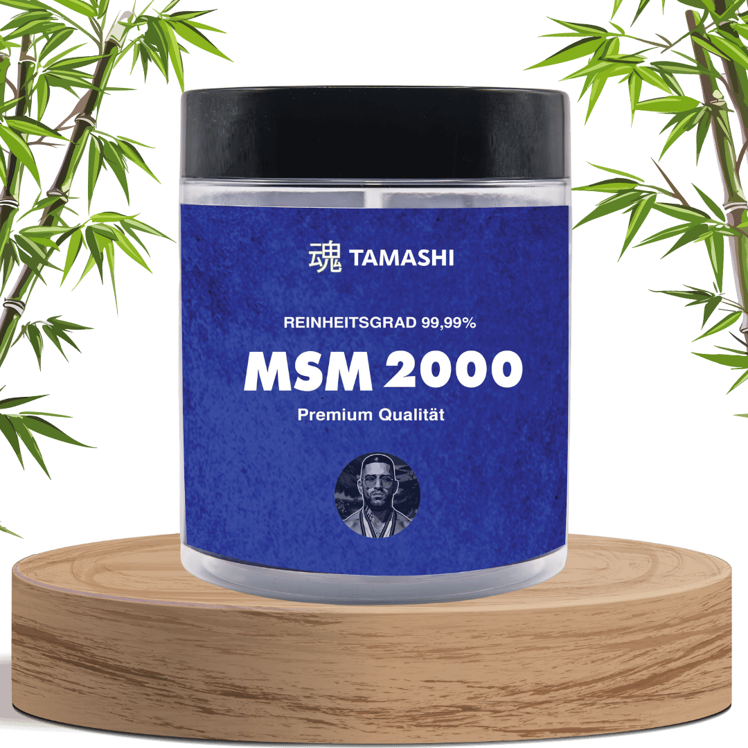 MSM 2000